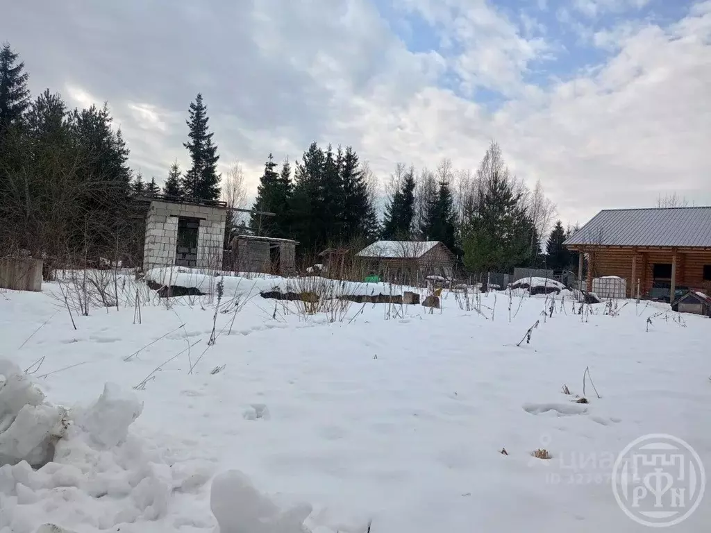 Участок в Ленинградская область, Кировский район, Отрадненское ... - Фото 1