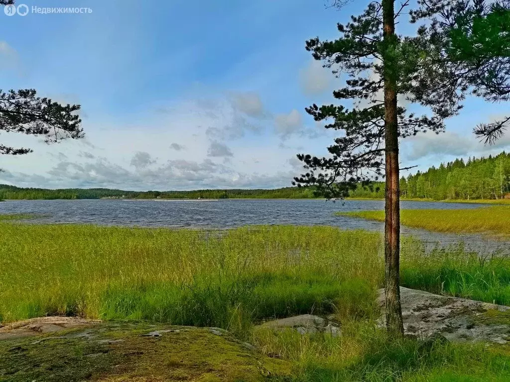 Участок в Республика Карелия, Сортавальский муниципальный округ, ... - Фото 1