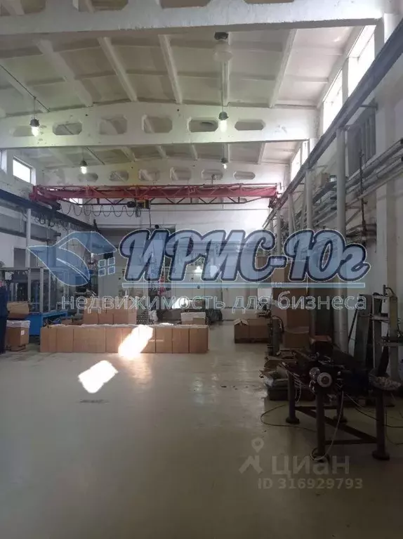 Производственное помещение в Краснодарский край, Белореченск ул. ... - Фото 1