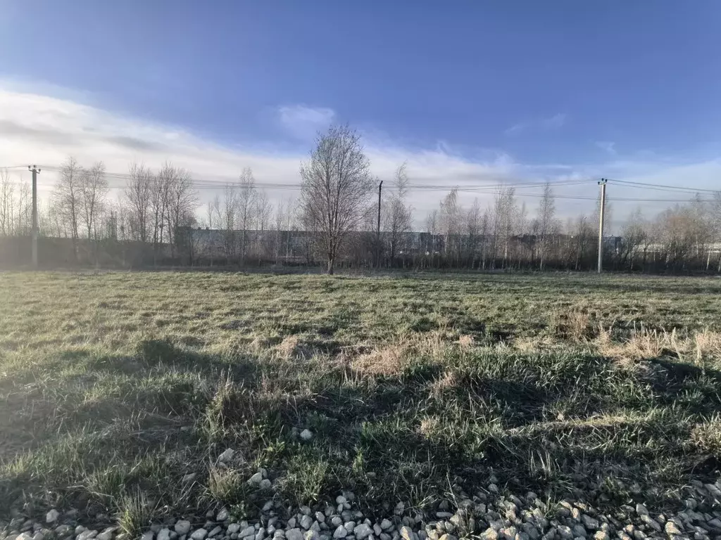 Участок в Ленинградская область, Ломоносовский район, Виллозское ... - Фото 1
