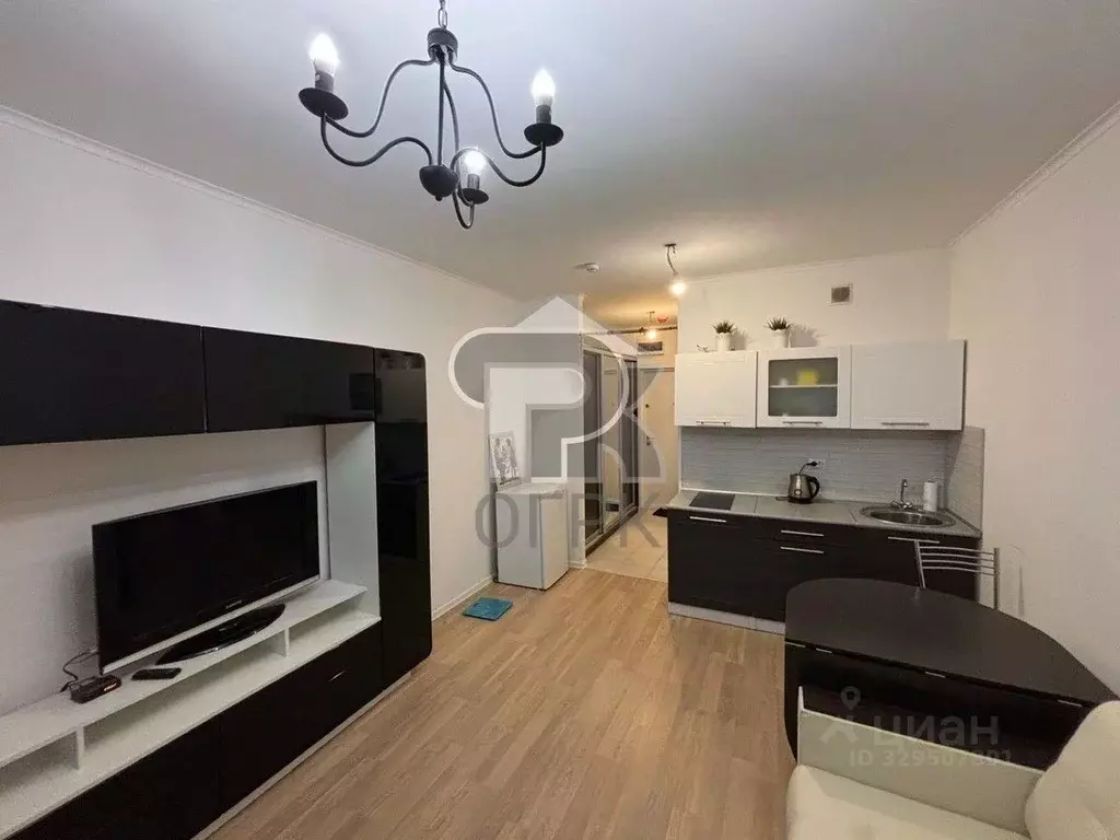 Студия Московская область, Балашиха ул. Реутовская, 15 (22.5 м) - Фото 2