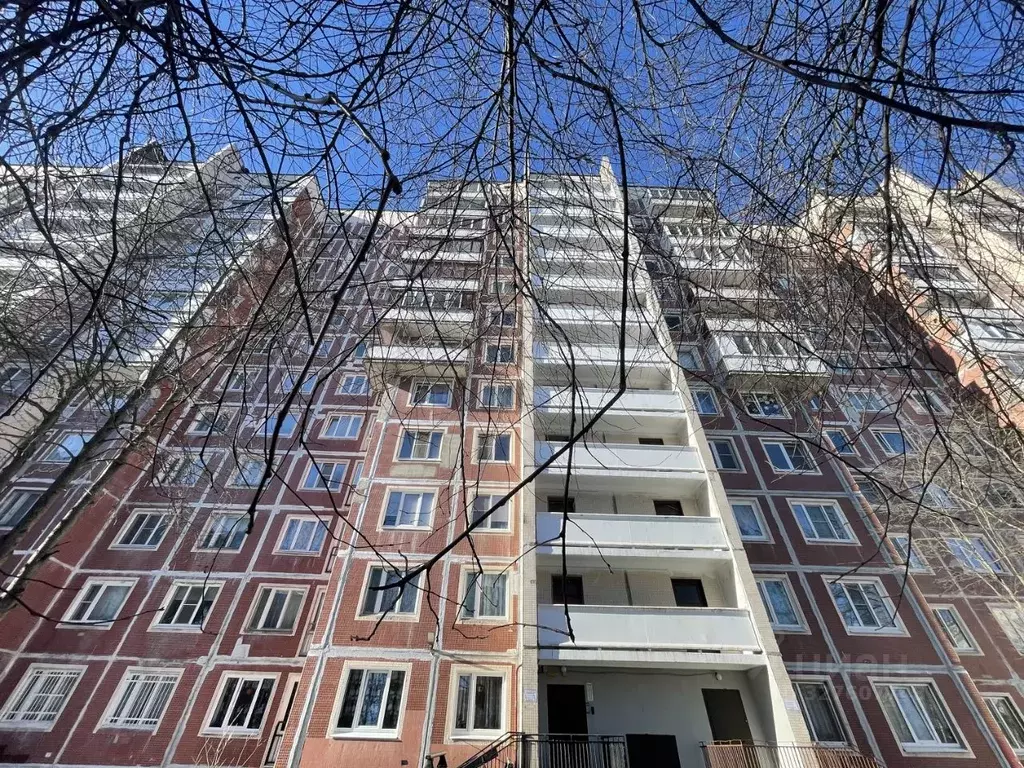 1-к кв. Санкт-Петербург просп. Луначарского, 37к2 (31.7 м) - Фото 1