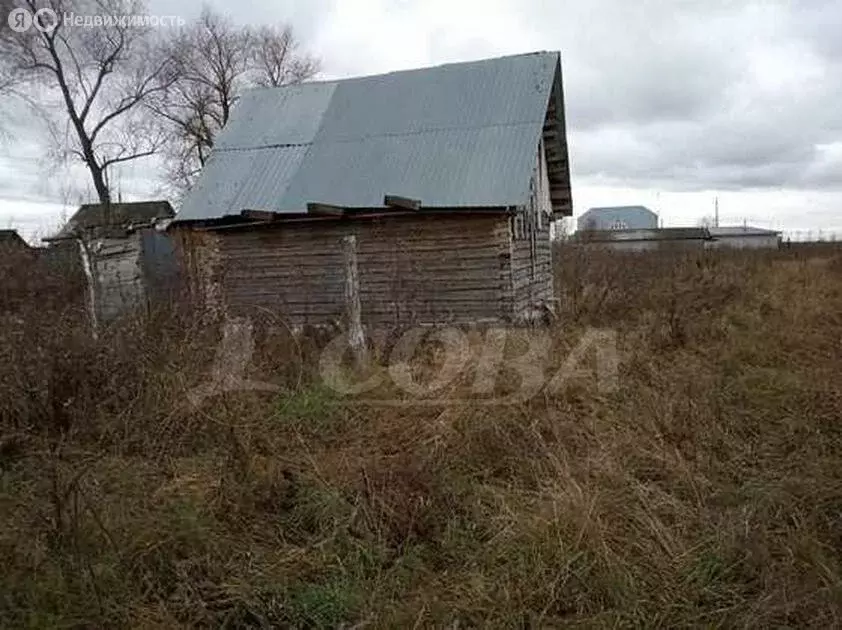 Участок в Ярковский район, село Дубровное (15 м) - Фото 0