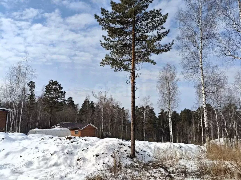 Участок в Иркутская область, Иркутский муниципальный округ, д. ... - Фото 2