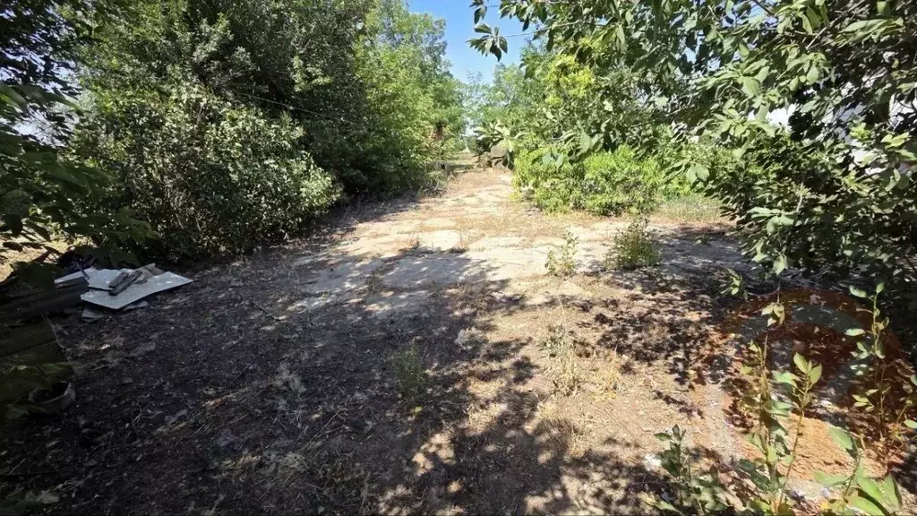 Участок в Крым, Саки ул. Крымская, 44 (8.9 сот.) - Фото 2