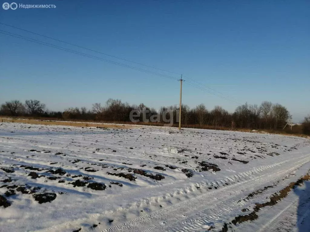 Участок в Курск, Солнечная улица (462 м) - Фото 1