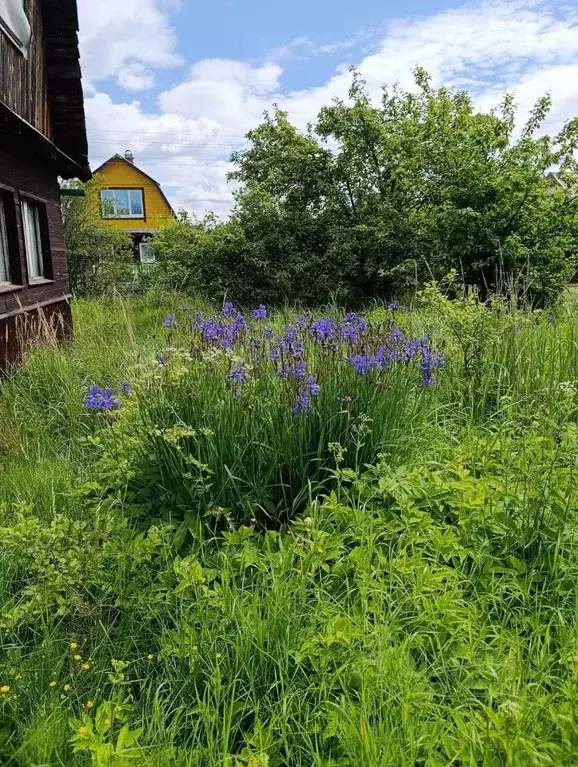 Дом в Ленинградская область, Тосненский район, Форносовское городское ... - Фото 2