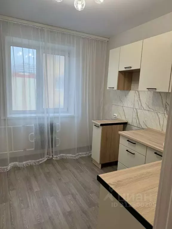 1-к кв. Новосибирская область, Новосибирск ул. Петухова, 12/5 (36.0 м) - Фото 1