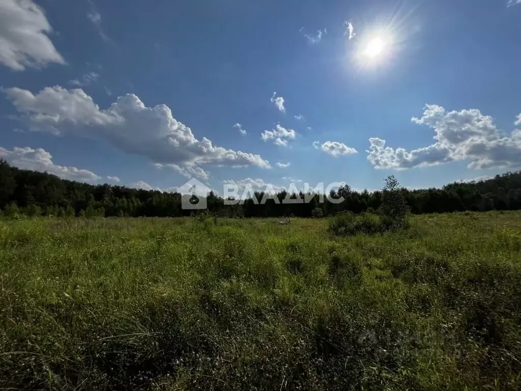 Участок в Московская область, Чехов городской округ, д. Леониха  ... - Фото 1