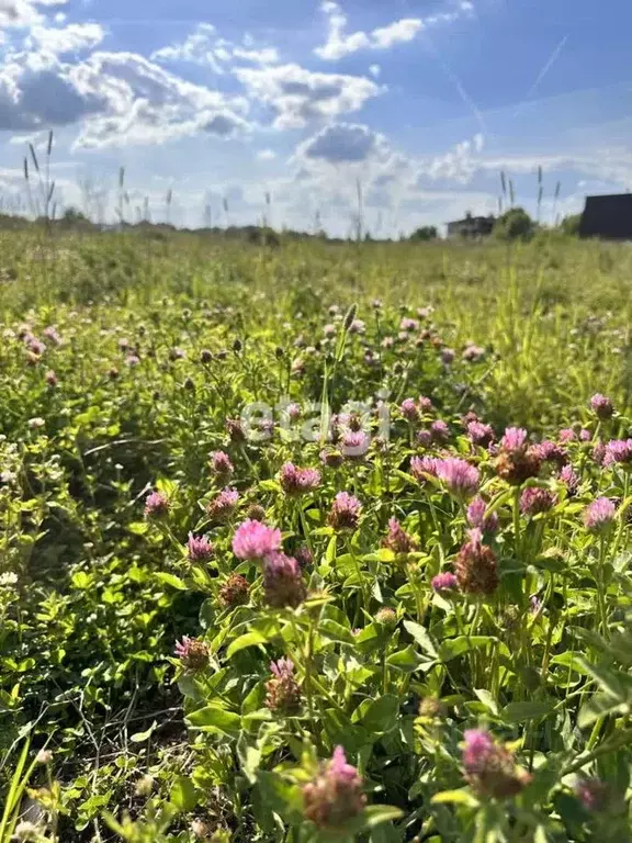 Участок в Ленинградская область, Тосненский район, Тельмановское ... - Фото 0