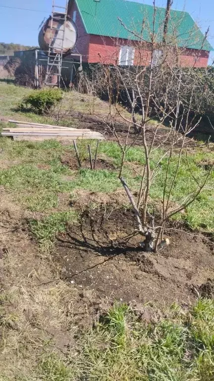 Участок в Омская область, Омский район, Новотроицкое с/пос, с. ... - Фото 2