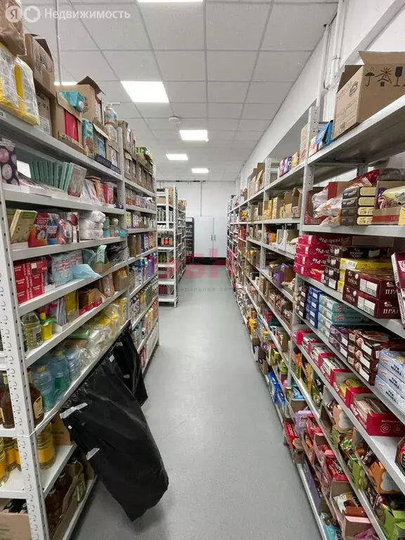 Помещение свободного назначения (250 м) - Фото 1