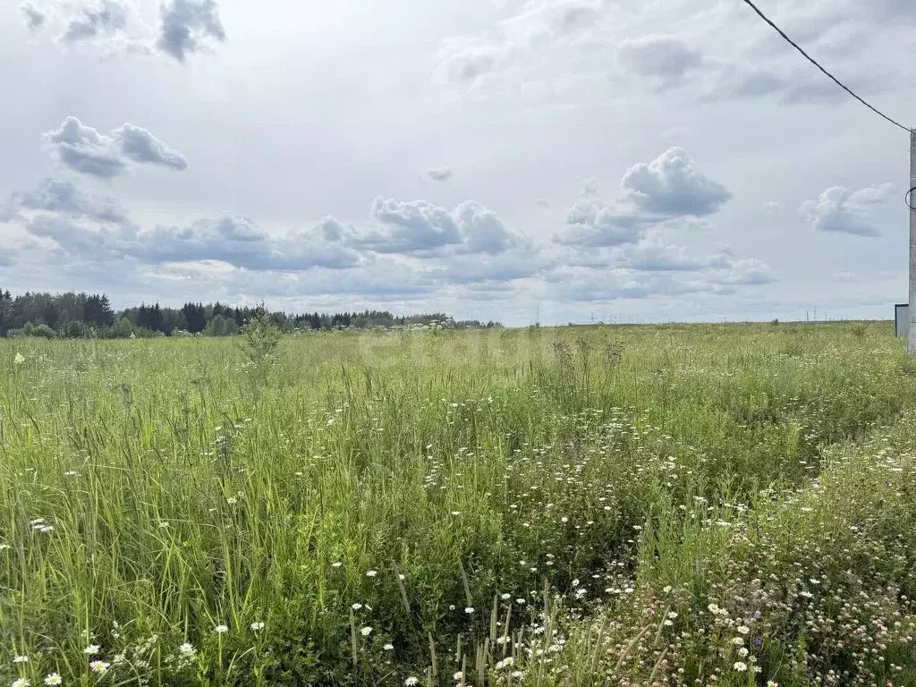 Участок в Калужская область, Боровский район, Ворсино с/пос, д. ... - Фото 2