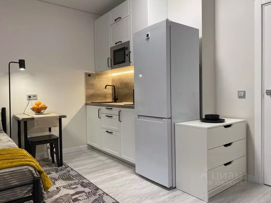 Студия Санкт-Петербург Уральская ул., 25 (24.6 м) - Фото 2