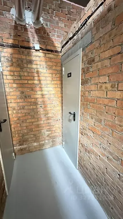 Помещение свободного назначения в Новосибирская область, Новосибирск ... - Фото 2