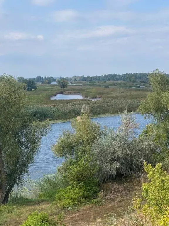 Участок в Саратовская область, Энгельсский район, Красноярское ... - Фото 1