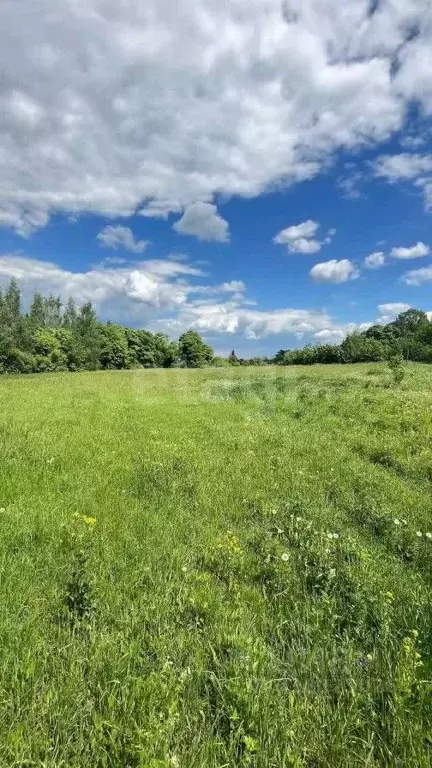 Участок в Липецкая область, Задонский район, Верхнестуденецкий ... - Фото 0