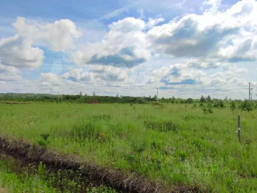 Участок в Тюменская область, Тюменский район, с. Кулига  (8.27 сот.) - Фото 1