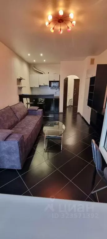 Студия Санкт-Петербург Туристская ул., 28к3 (27.3 м) - Фото 1