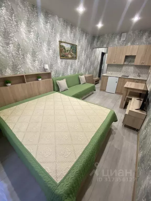 Студия Краснодарский край, Горячий Ключ Рябиновая ул., 2Вк2 (24.0 м) - Фото 1