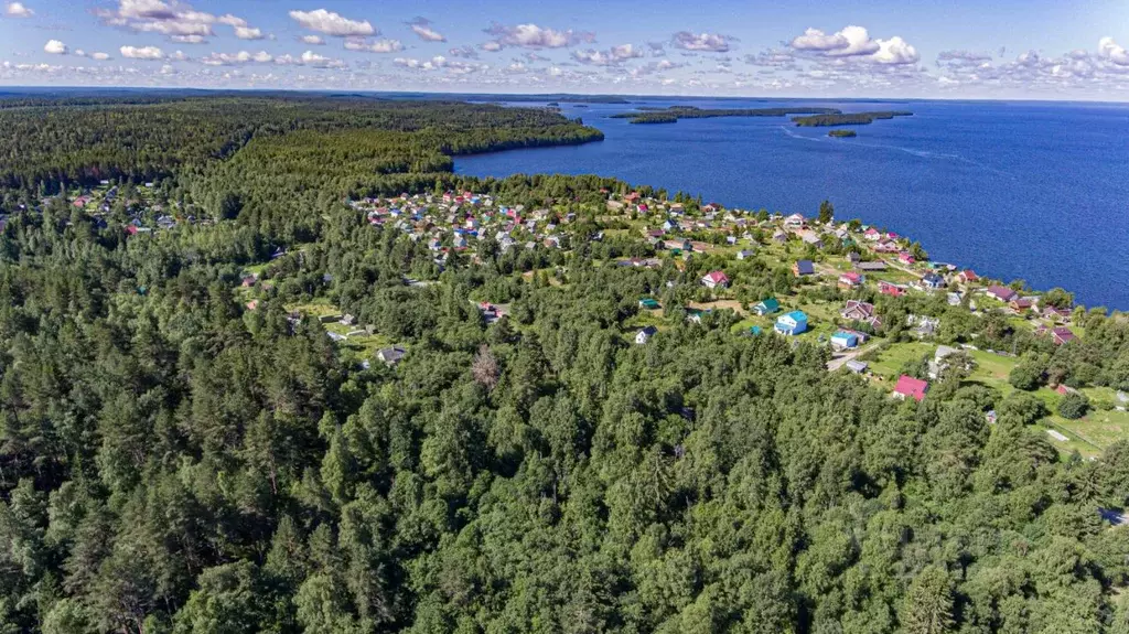 Участок в Карелия, Пряжинский район, Эссойльское с/пос  (25.0 сот.) - Фото 2