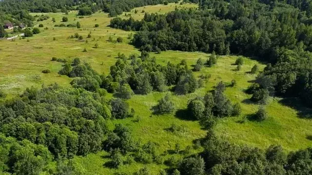 Участок 70 сот. (ИЖС) - Фото 1