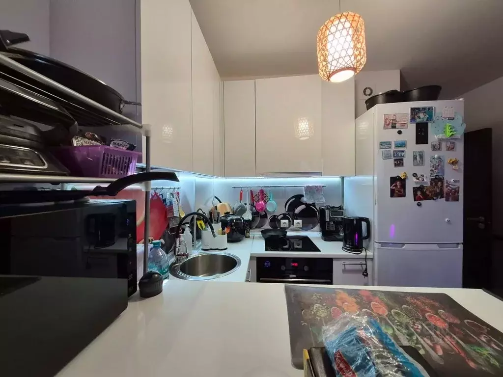 Студия Санкт-Петербург просп. Ветеранов, 171к4 (23.8 м) - Фото 1