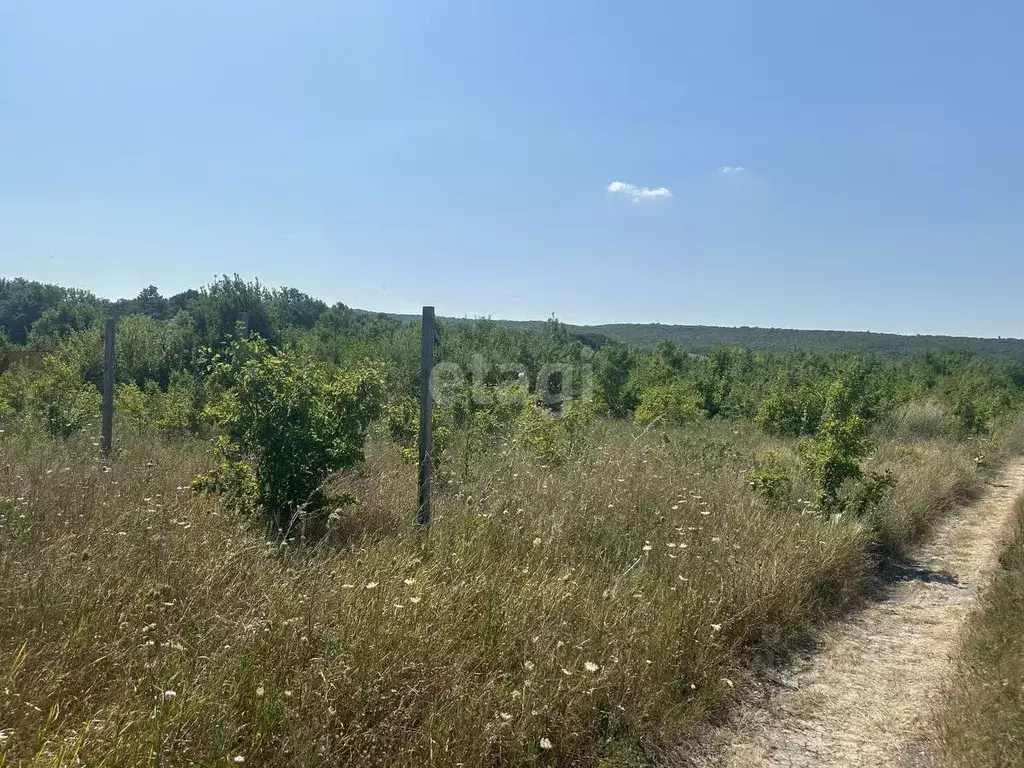 Участок в Краснодарский край, Новороссийск муниципальное образование, ... - Фото 0