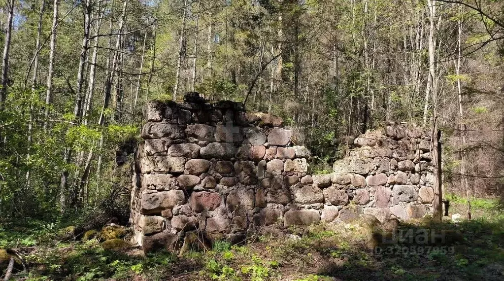 Участок в Ленинградская область, Волосовский район, Клопицкое с/пос, ... - Фото 2