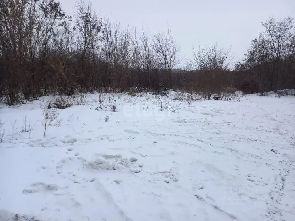 Участок в Белгородская область, Губкин Горняк-Мичуринец СТ,  (6.98 ... - Фото 1