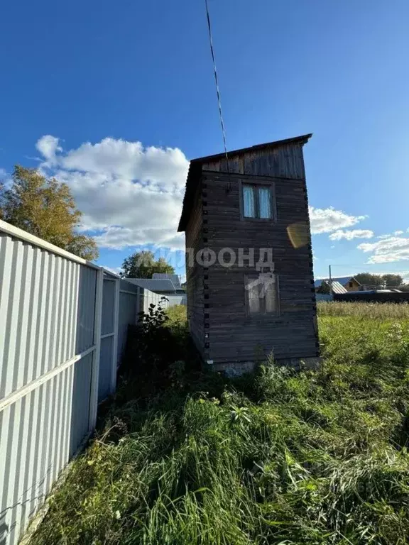 Участок в Новосибирская область, Новосибирский район, Морской ... - Фото 1