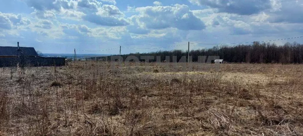 Участок в Нижегородская область, Арзамас городской округ, д. ... - Фото 0