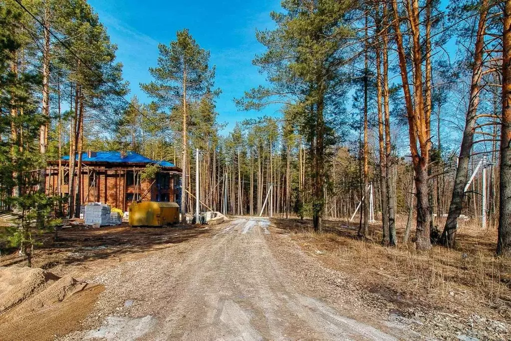 Участок в Владимирская область, Судогодский район, Вяткинское ... - Фото 1