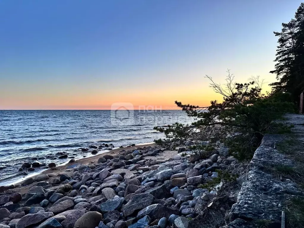 Участок в Санкт-Петербург Ольгино тер., ул. Советская, 43 (13.12 сот.) - Фото 1