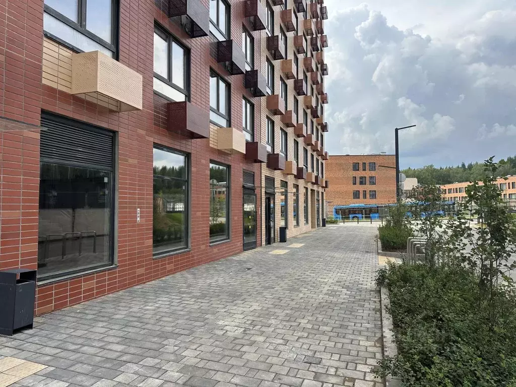 Помещение свободного назначения в Москва ул. Братьев Бромлей, 5к1 (74 ... - Фото 1