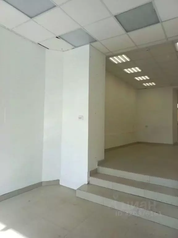 Торговая площадь в Новосибирская область, Новосибирск ул. Ватутина, 27 ... - Фото 1