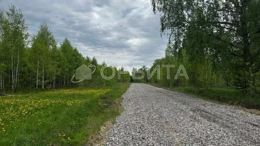 Участок в Тюменская область, Тюменский район, Солнышко садоводческое ... - Фото 1