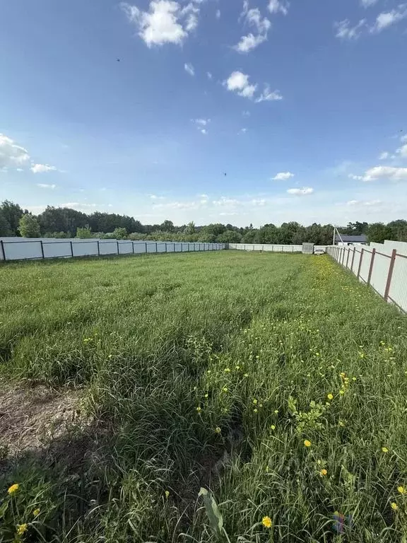 Участок в Московская область, Ступино городской округ, д. Орехово  ... - Фото 1