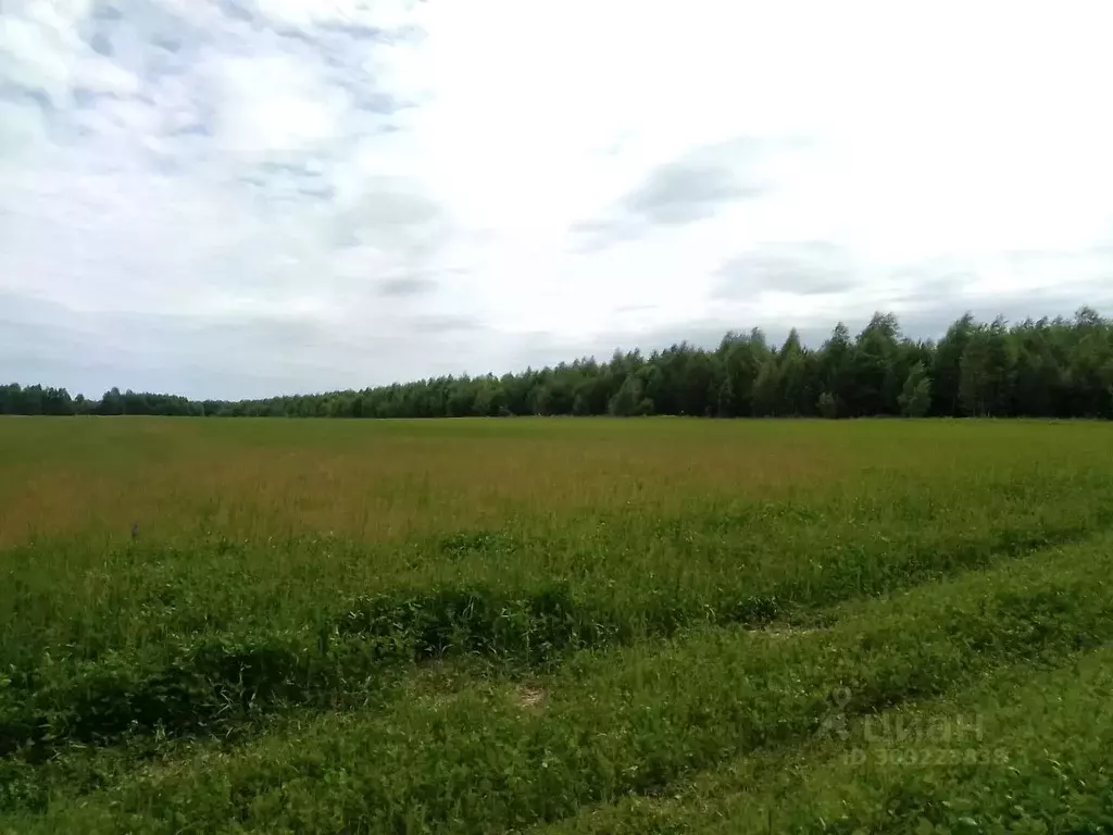 Участок в Нижегородская область, Сокольский городской округ, д. ... - Фото 0