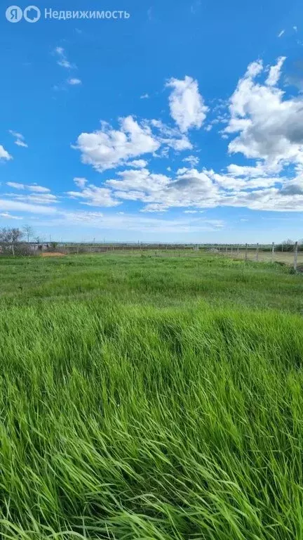 Участок в Марьяновка, Таврическая улица, 10 (13 м) - Фото 2