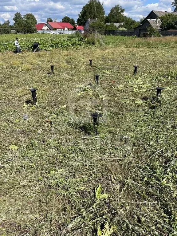 Участок в Ленинградская область, Волосовский район, Калитинское с/пос, ... - Фото 1