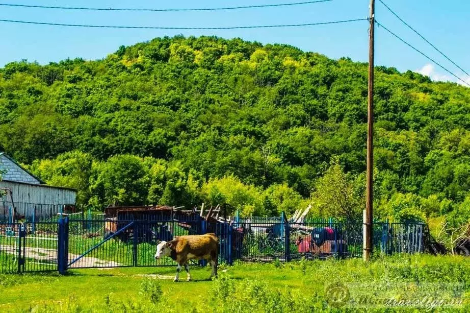Участок в Самарская область, Волжский район, Рождествено с/пос, с. ... - Фото 2