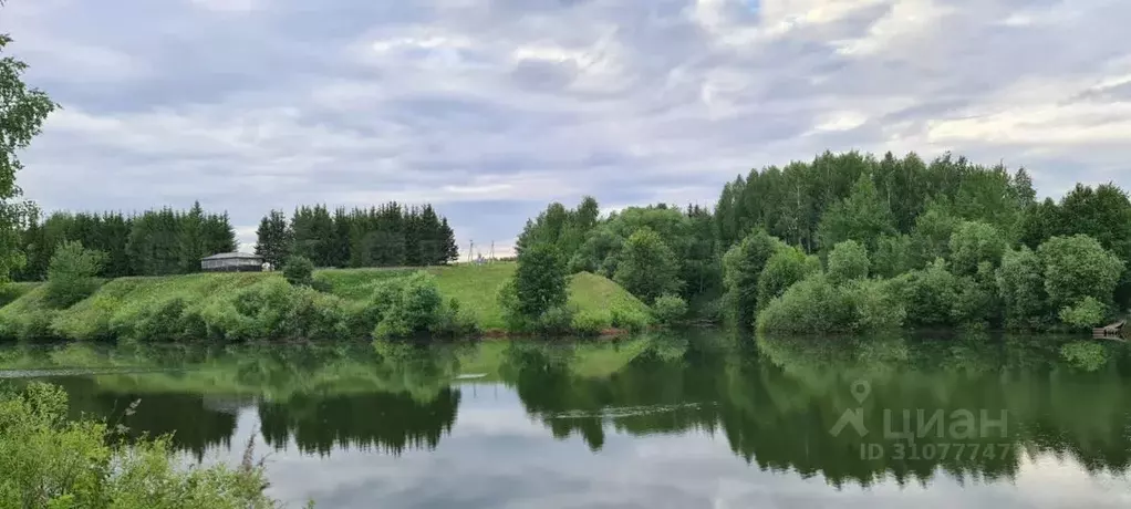 Участок в Татарстан, Арский район, Янга-Салское с/пос, д. Каенсар  ... - Фото 1