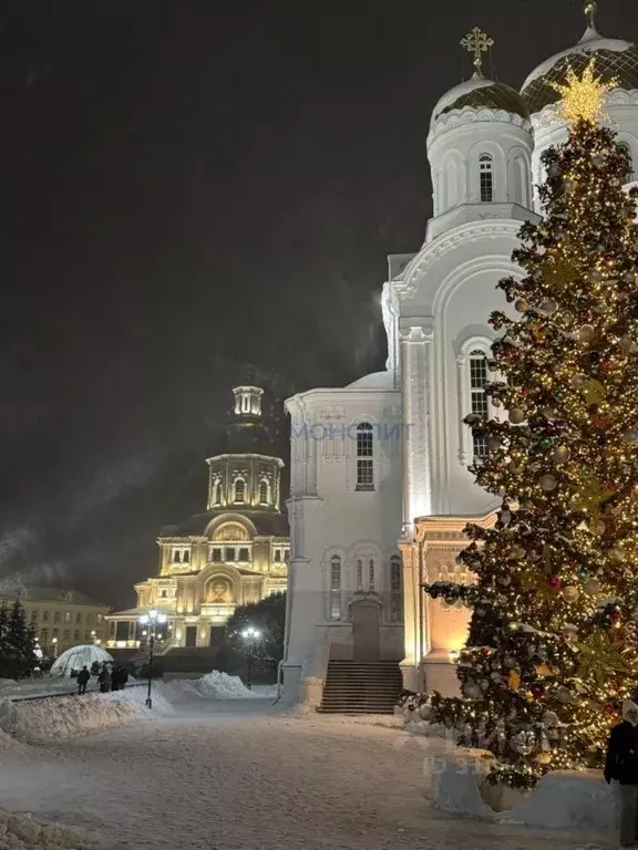 Участок в Нижегородская область, с. Дивеево ул. Дружная (10.3 сот.) - Фото 1
