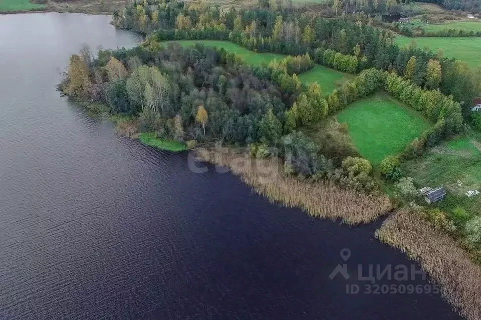 Участок в Татарстан, Камско-Устьинский район, с. Красновидово  ... - Фото 2
