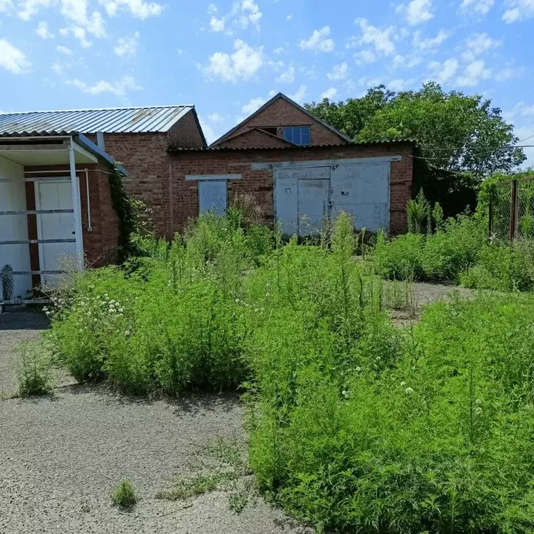 Помещение свободного назначения в Краснодарский край, Кавказская ст-ца ... - Фото 1