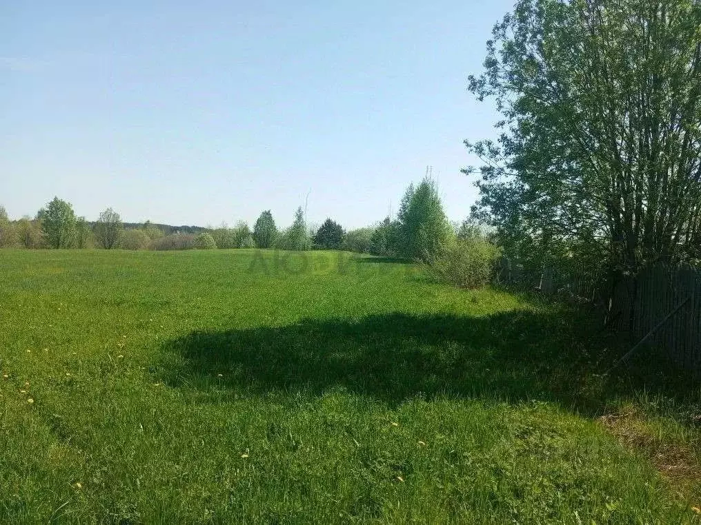 Участок в Кировская область, Орловский муниципальный округ, д. ... - Фото 2