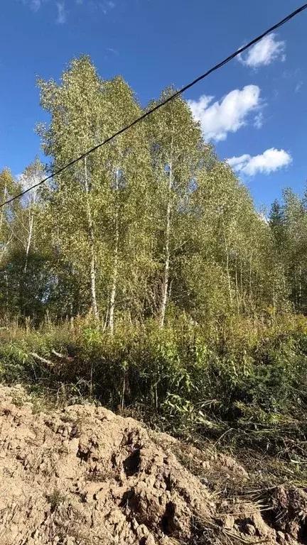 Участок в Московская область, Ступино городской округ, д. Акатово  ... - Фото 2