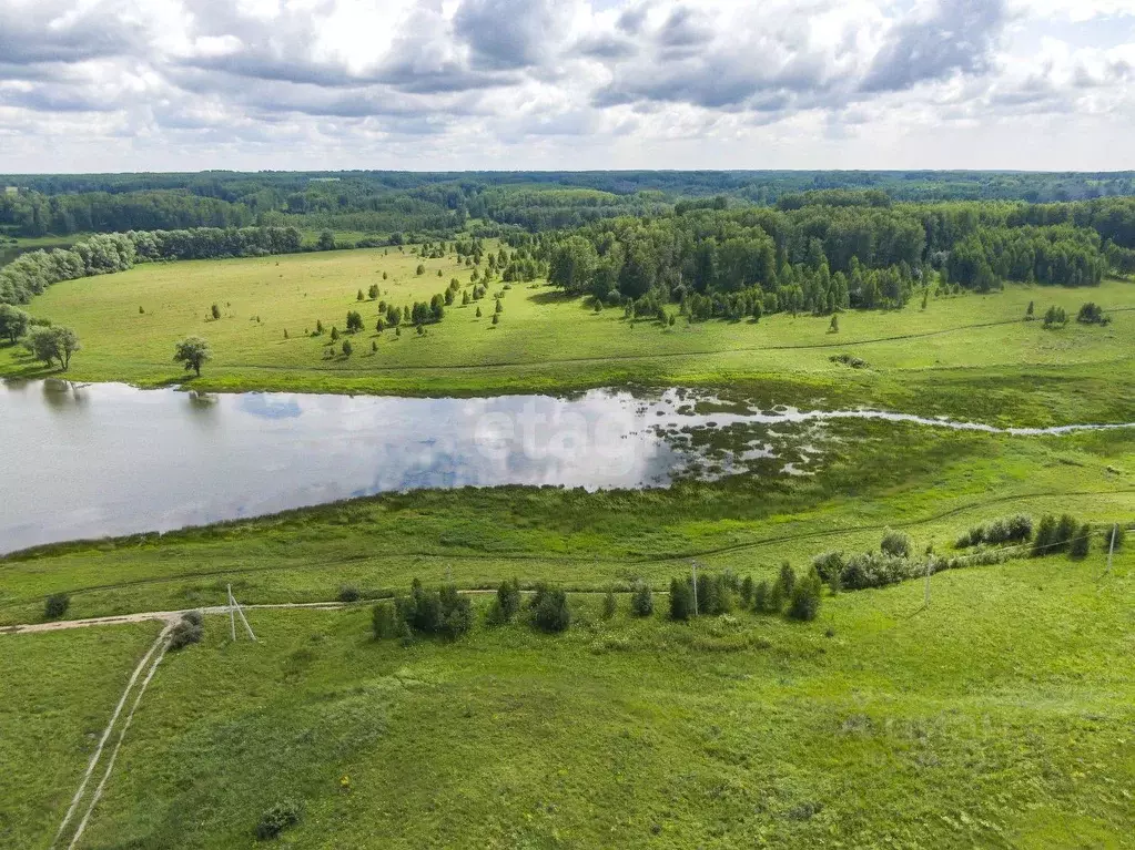 Участок в Новосибирская область, Мошковский район, с. Сокур  (12.0 ... - Фото 1