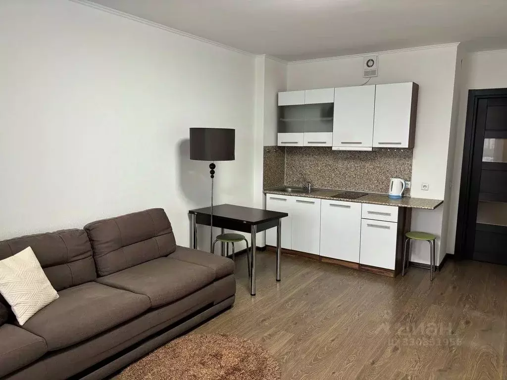 Студия Санкт-Петербург просп. Энергетиков, 9к6 (27.0 м) - Фото 1
